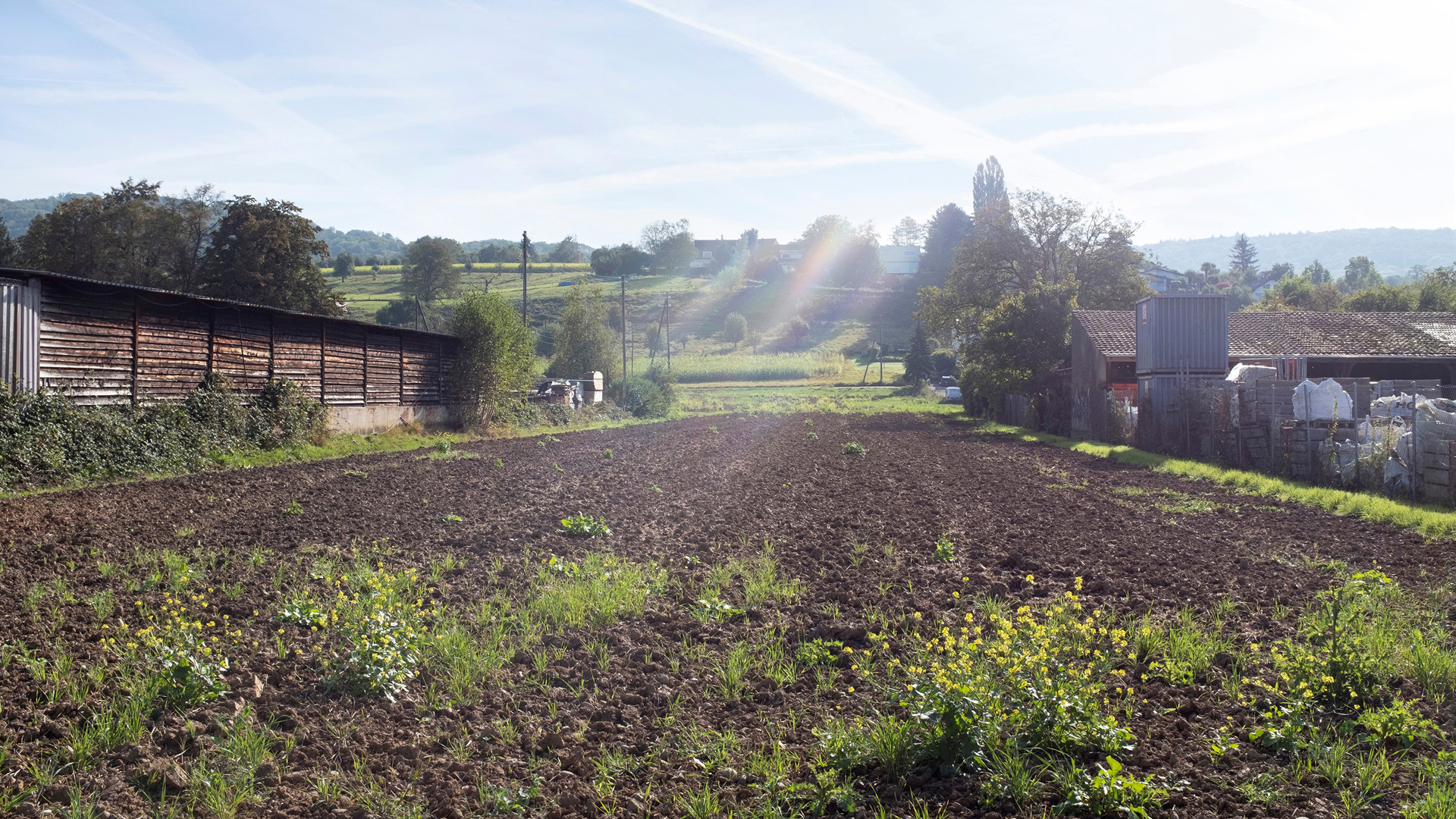 4.6  Stettenfeld Riehen